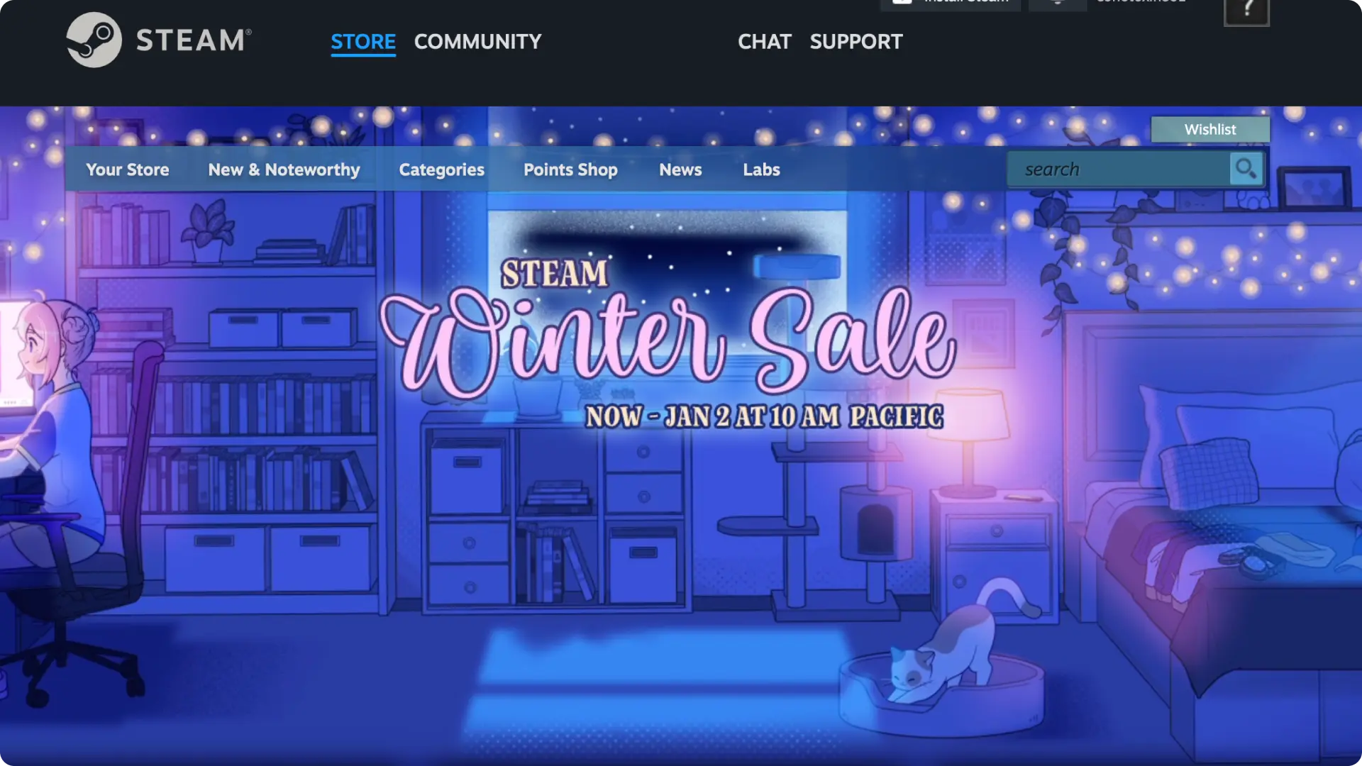 Steam Winter Sale banner featuring a cozy room illuminated by string lights, with a person using a computer and a cat playing nearby. The first page you get when try to redeem Steam Gift Card. 