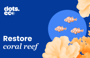 Buy Dots.eco gift card with crypto