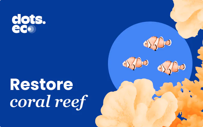 Buy Dots.eco gift card with crypto