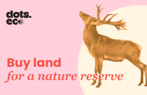 dots.eco card dots.eco card