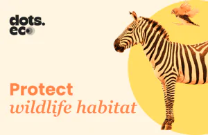 dots.eco card dots.eco card