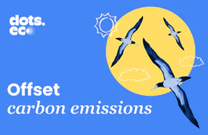 dots.eco card dots.eco card