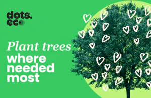 dots.eco card dots.eco card