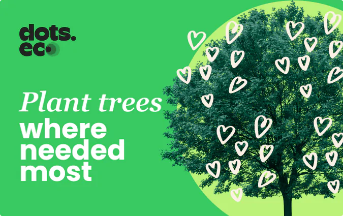 dots.eco card dots.eco card