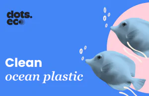 dots.eco card dots.eco card