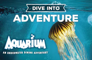 Aquarium Gift Card Aquarium Gift Card