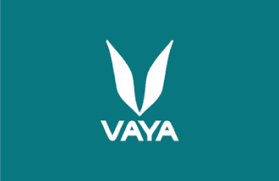 Vaya IN Gift Card